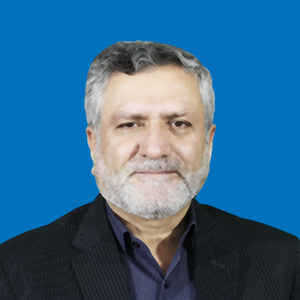 صولت مرتضوی